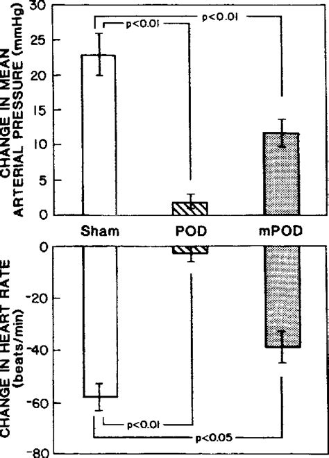 Figure 2 From Angiotensin Ii Pressor Activity Depends On Medial And