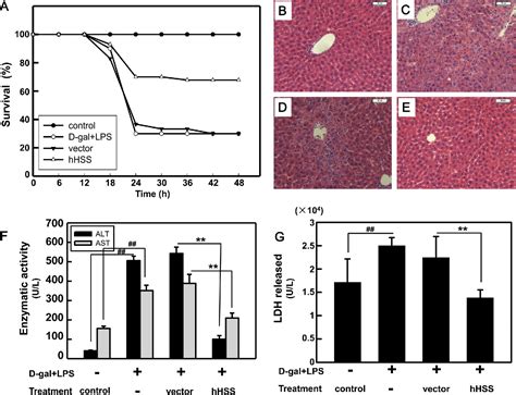 Figure From Administration Of Naked Plasmid Encoding Hepatic