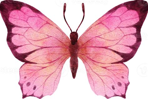 Pink Butterfly Png Pngegg Off Brunofuga Adv Br