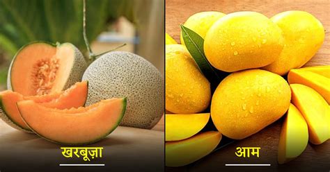 Summer Hydrated Fruits गर्मियों में मिलने वाले वो 10 फल जो आपको डिहाइड्रेशन से रखेंगे कोसों दूर