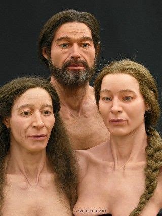 Neanderthal Skull Reconstruction Such Reconstructions Used To Look A