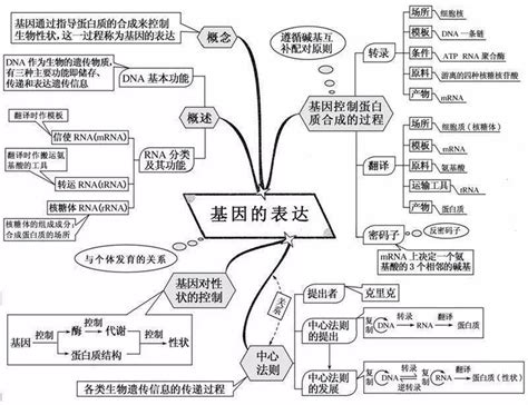 超全高中生物思维导图，20张图扫清三年知识点细胞