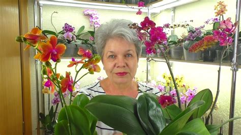 Орхидеи 💐 БРОНЗОВЫЙ БУДДА и 💐 ИНТРИГА на заказ. Делюсь своей РАДОСТЬЮ😊💮 ...