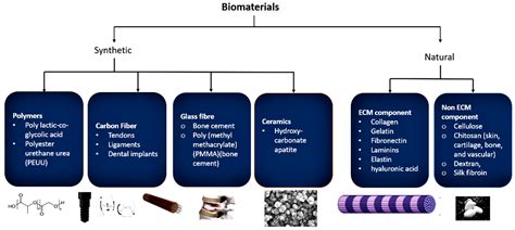 Biomimetics Free Full Text Recent Development And Application Of