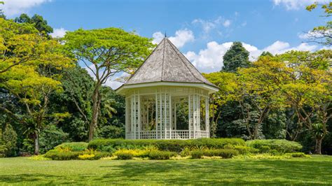 Singapore Botanic Garden Immagini Sfoglia 60 Foto Vettoriali E