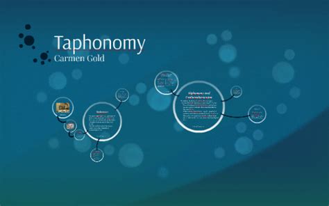 Taphonomy by Carmen Gold