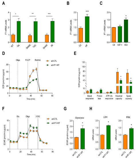 Atpase Inhibitory Factor 1 Disrupts Mitochondrial Ca2 Handling And