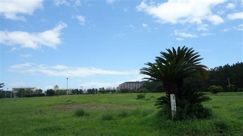 湘南海岸公園 観光スポット 湘南ひらつかナビ平塚市観光協会 平塚観光情報サイト