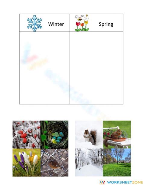 spring  worksheet
