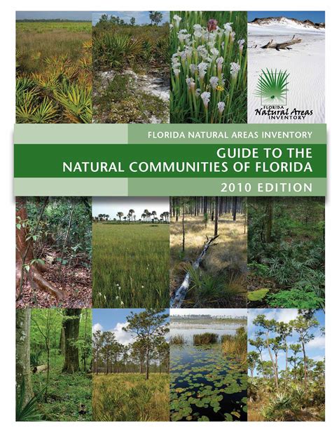 Guide To The Natural Communities Of Florida Florida Natural Areas Inventory