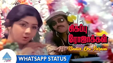 Ninaivo Oru Paravai Whatsapp Status Sigappu Rojakkal Songs Kamal