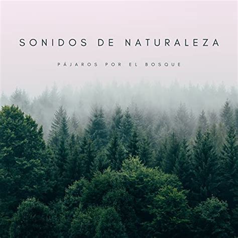 Écouter Sonidos De Naturaleza Pájaros Por El Bosque de Chill Relajente