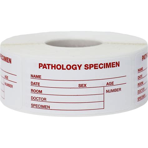 Pathology Specimen File Writable Labels - InStockLabels.com