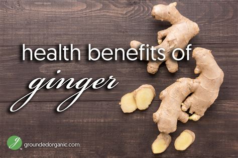 Health Benefits Of Ginger Grounded Organic