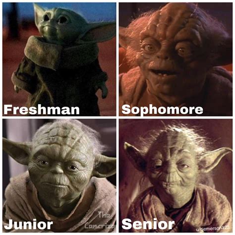 Yoda meme : r/starwarsmemes