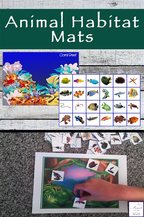 Animal Homes Box and Printable Animal Habitat Mats - Simple Living ...