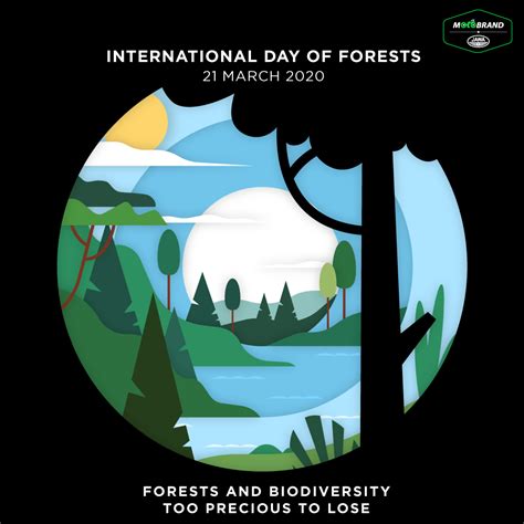 March 21 International Day of Forests Forests And Biodiversity Too precious to loose Healthy ...