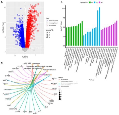 Ijms Free Full Text Recurrent Implantation Failure Bioinformatic