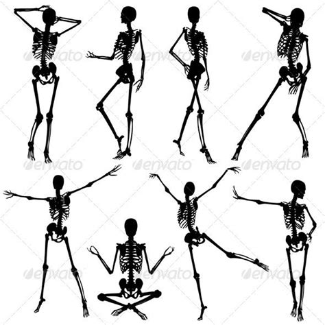 Collect Silhouettes Skeletons Woman In Different Poses Vector