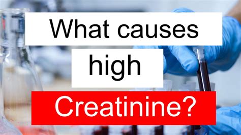 What causes high Creatinine and low BUN?