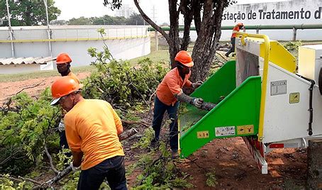 Serviços da TecPodas TecPodas Corte e Poda de Árvores Brasil