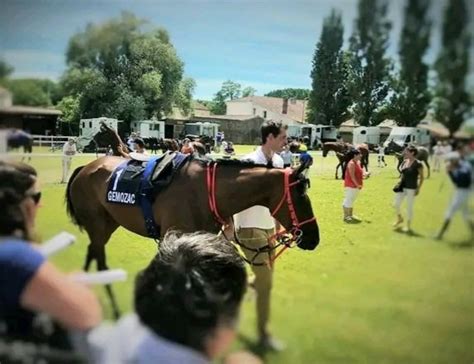 Les Cahiers Du Turf On Twitter RT Cahiersduturf Photo De El Tango