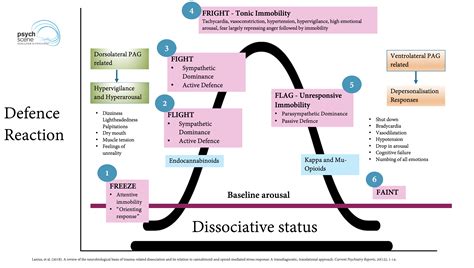 The Neuroscience of Dissociation: Application in Trauma Disorders 