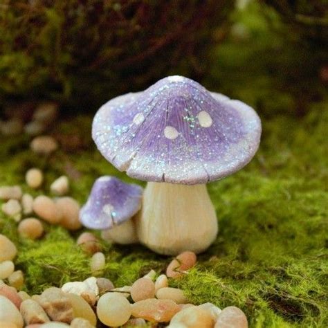 A Purple Mushroom Sitting On Top Of A Moss Covered Ground