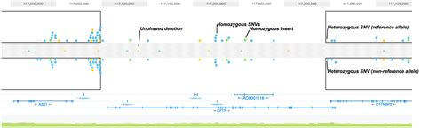 Haplotype Browser: View Phased Variants -Software -Genome & Exome -Official 10x Genomics Support