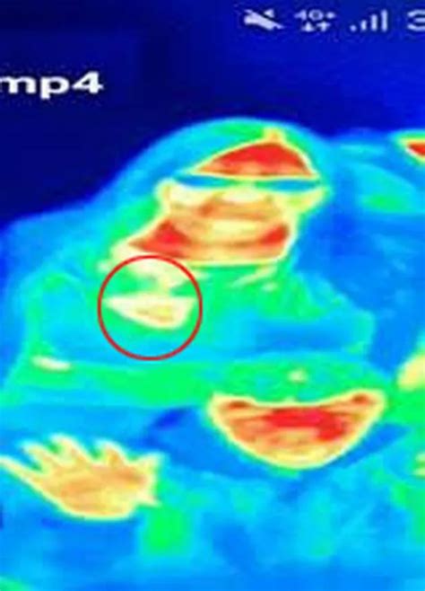 Woman Spots Breast Cancer While Playing With Thermal Camera At Scots Tourist Spot Daily Record