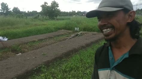 Bertanam Sayur Di Lahan Pasang Surut Kalimantan YouTube