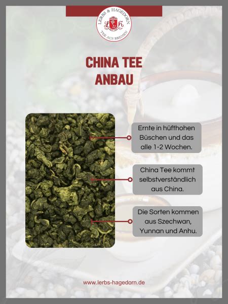 Gr Ner Tee China Sencha Kg Unkompliziert Und Schnell Bestellen