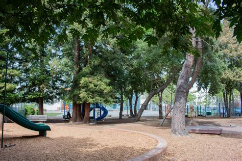 National Schoolyard Forest System℠ — Green Schoolyards America