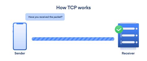 All About Network Protocols InfosecTrain