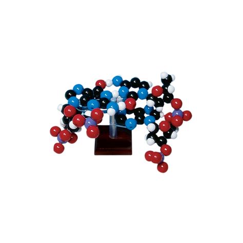 Molecular Model Kit Two Layer Dna Edulab