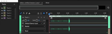 Use Basic Multitrack Controls For Adobe Audition