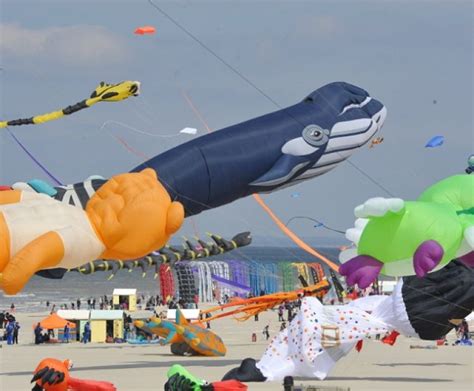 Berck Sur Mer Les Cerfs Volants Notcar