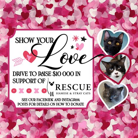 Grant Park Animal Hospital... - Grant Park Animal Hospital