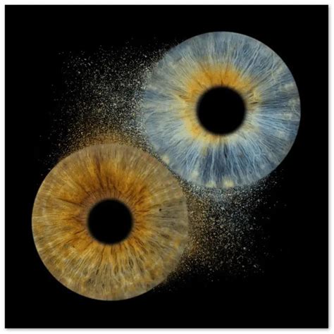 captivating duo iris eye portraits  iris prints iris blink