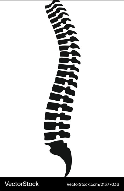 Simple Spine Vector