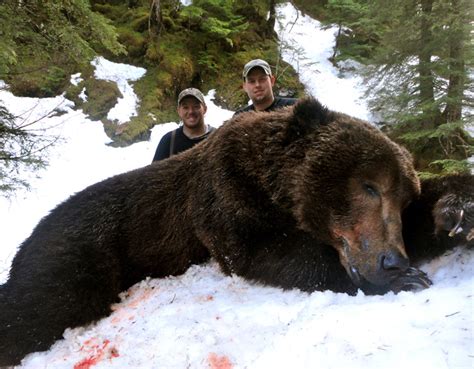 alaska brown bear hunts by Pacfiic Mountain Guides - alaska brown bear