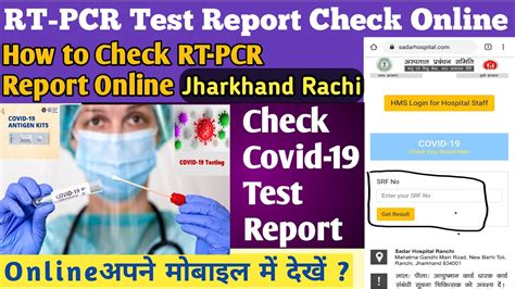 How To Check Rt Pcr Report Online Rt Pcr Test Report Check Online