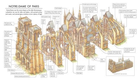 Notre Dame Infographic Layout • History Infographics