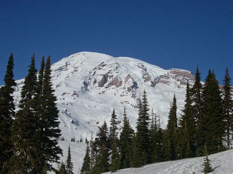 April in Mt Rainier National Park – Top Left Adventures