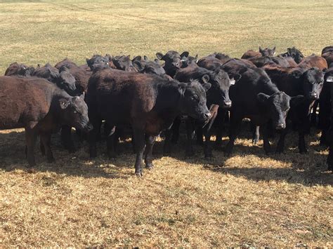 2383 Driftway Road, FAIRHOLME NSW 2871 - Real Estate Transactions