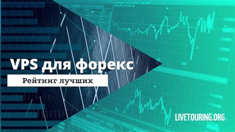 Лучший Vps для форекс бесплатно или недорого 2025 как настроить сервер