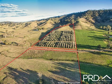 Lot 11 Eden Creek Road Upper Eden Creek NSW 2474 Sold Rural