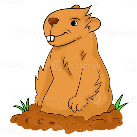 A Cute Groundhog Standing On The Soil Ground 36619097 Png