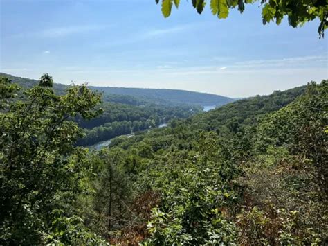 hikes  trails  webb mountain park alltrails