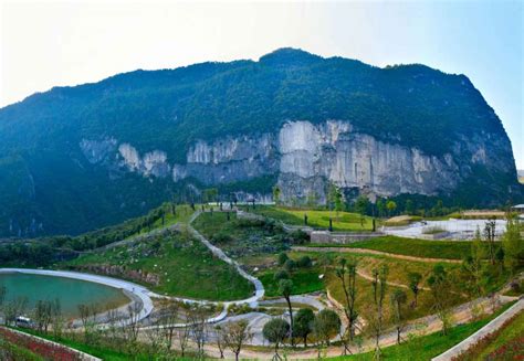 Vegetaci N Nativa De La Reserva Ecol Gica Del Pedregal De S N Ngel